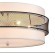 Потолочный светильник Е27 Lumion ANIMAISA 8002/6C