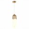 SL1579.303.02 Подвес ST-Luce Латунь/Латунь, Белый LED 2*14W 3000K MOFISTO