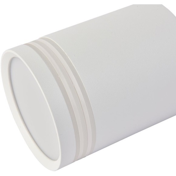 Точечный светильник Darar 3065-1C