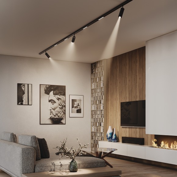 205007 Трековый магнитный светодиодный SMART (TUYA, Алиса, Bluetooth, Wi-Fi) светильник Lightstar TETA PRO 220V CRI90+ 2700-6000К 1200лм 10-50° 20Вт