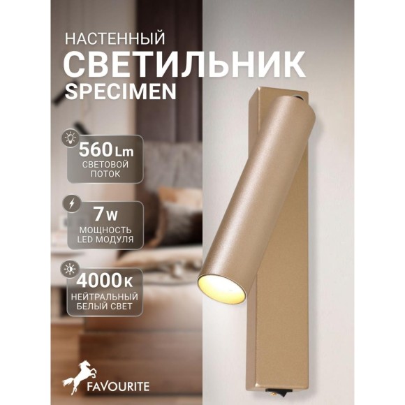 Спот Specimen 2228-1W