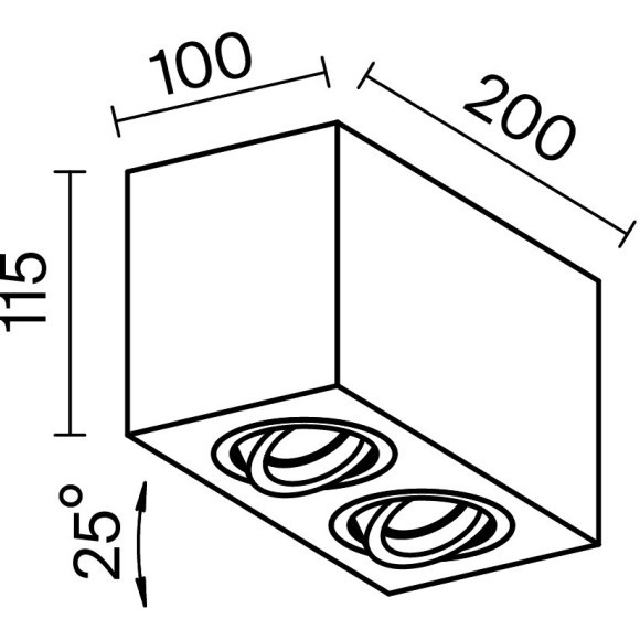 Потолочный светильник Technical C017CL-02W