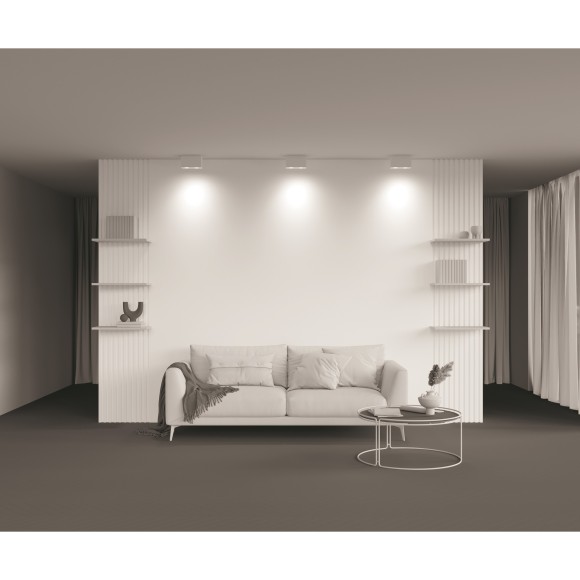 Потолочный светильник Technical C017CL-02W