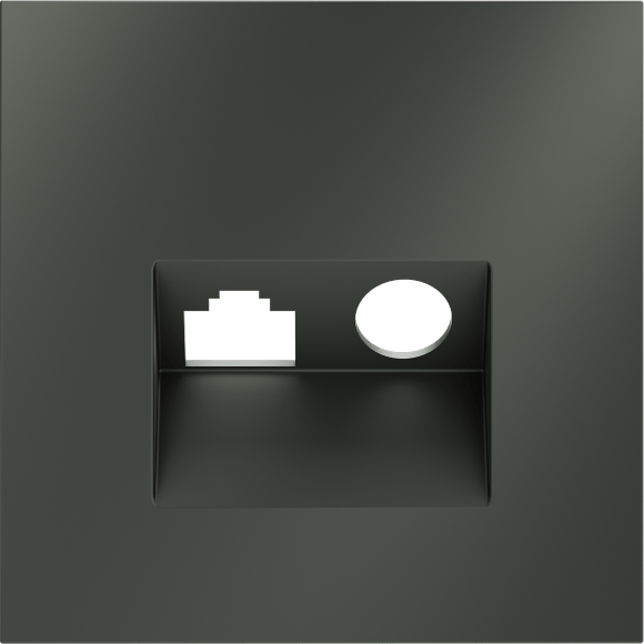 Накладка для розетки TV+RJ45 кат. 6, S70 (титан)