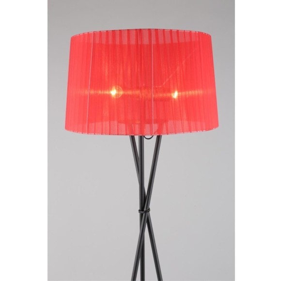 Торшер Fascia OML-62905-03