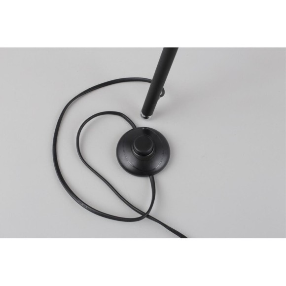 Торшер Fascia OML-62905-03