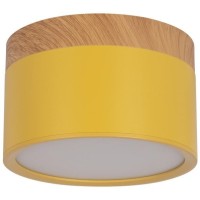 10162 Yellow Накладной светильник LOFT IT Grape