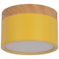 10162 Yellow Накладной светильник LOFT IT Grape