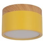 10162 Yellow Накладной светильник LOFT IT Grape