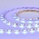ST019.318.20RGBW Светодиодная лента SMD5050  - -*86W 3000K+RGB 300Lm Ra90 IP20 L1 000xW10xH- 24V Светодиодные ленты