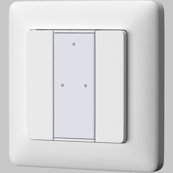 2-х кнопочная настенная панель Maytoni DALI 721039