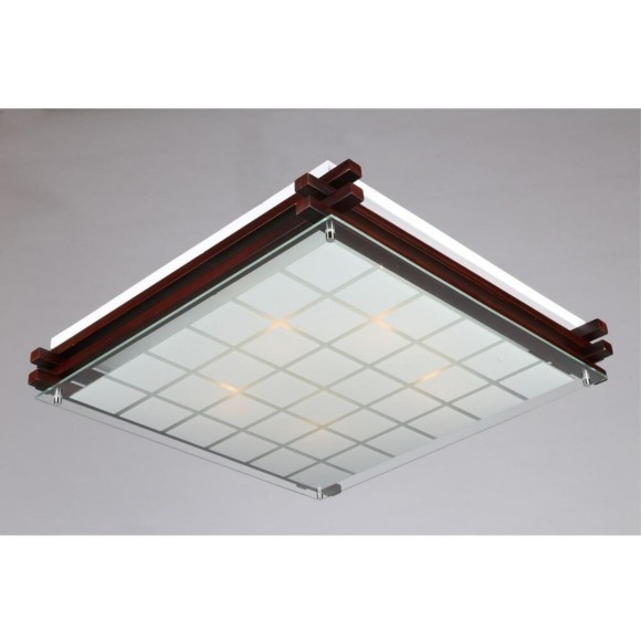 Потолочный светильник Carvalhos OML-40507-05