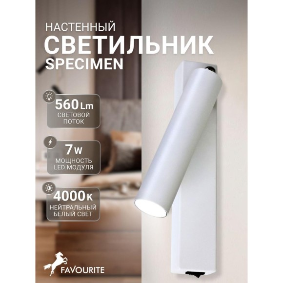Спот Specimen 2229-1W