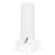 Накладной потолочный светильник Lightstar R6496486 RULLO под лампу 1xGU10 50W