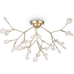 Потолочный светильник Freya FR5049CL-36G Потолочный светильник Freya FR5049CL-36G