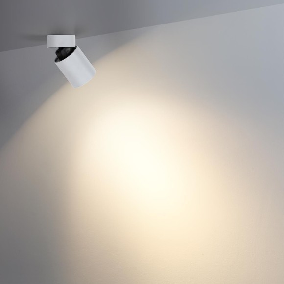 Потолочный светильник IP20 LED 7W 75Лм 3000K 36° TURNO 7133/7CL