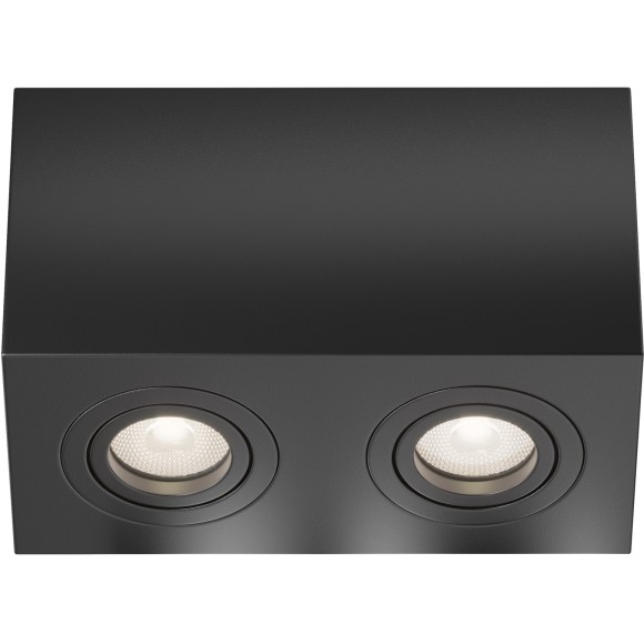 Потолочный светильник Technical C017CL-02B