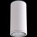 1400/245 Crystal Lux Светильник уличный потолочный спот CLT 138C180 WH