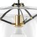 Люстра подвесная Lightstar 752010 Acquario под лампу 1xE27 40W