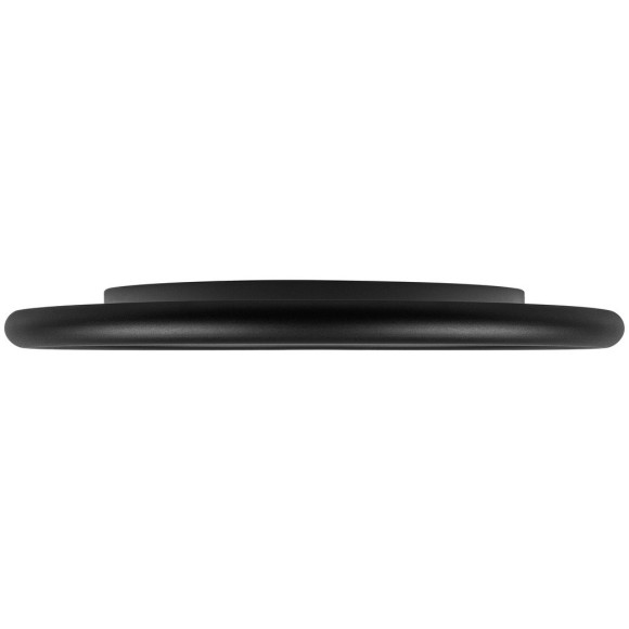 10454/500 Black  Потолочный светильник  LOFT IT Sweety