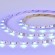 ST019.418.20RGBW Светодиодная лента 24В RGB+4000K 300Lm SMD5050 CRI90 10мм IP20 1м