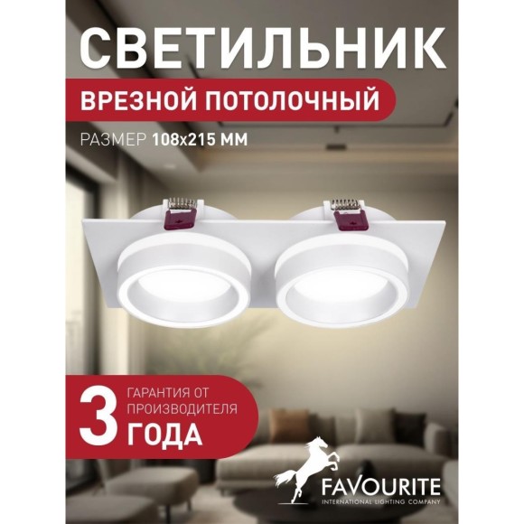 Точечный светильник Vasto 4650-2C