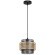 Подвесной светильник Arte Lamp GRID A7069SP-1BK