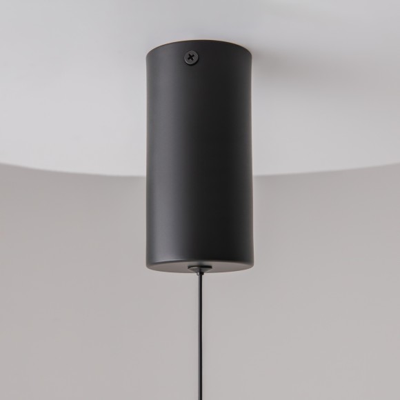 Подвесной светильник Technical P022PL-L10B