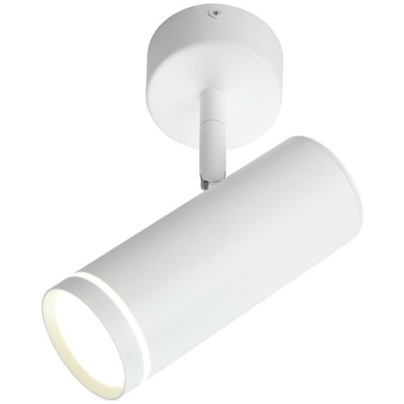 Светильник настенно-потолочный OML-102219-12