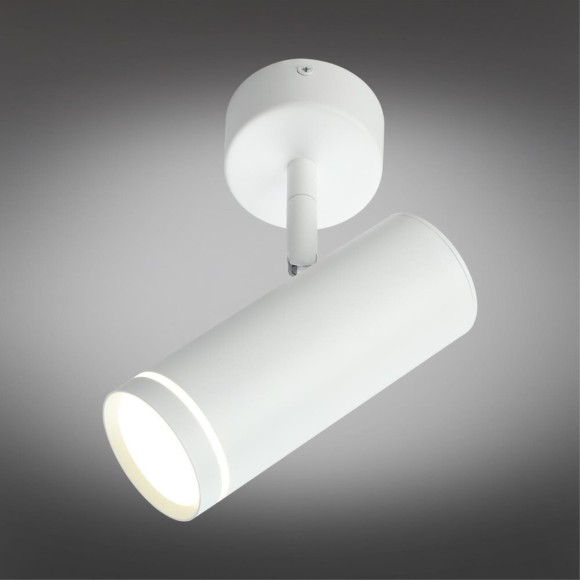 Светильник настенно-потолочный OML-102219-12