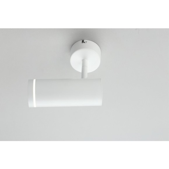 Светильник настенно-потолочный OML-102219-12