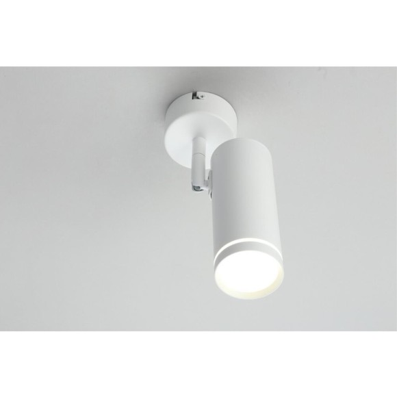 Светильник настенно-потолочный OML-102219-12