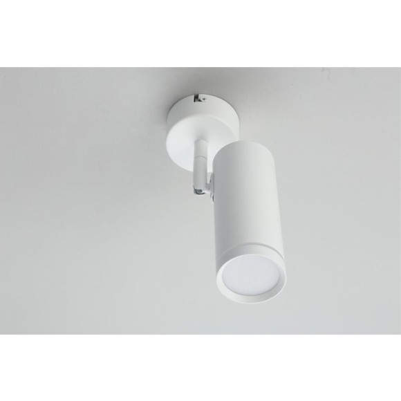 Светильник настенно-потолочный OML-102219-12