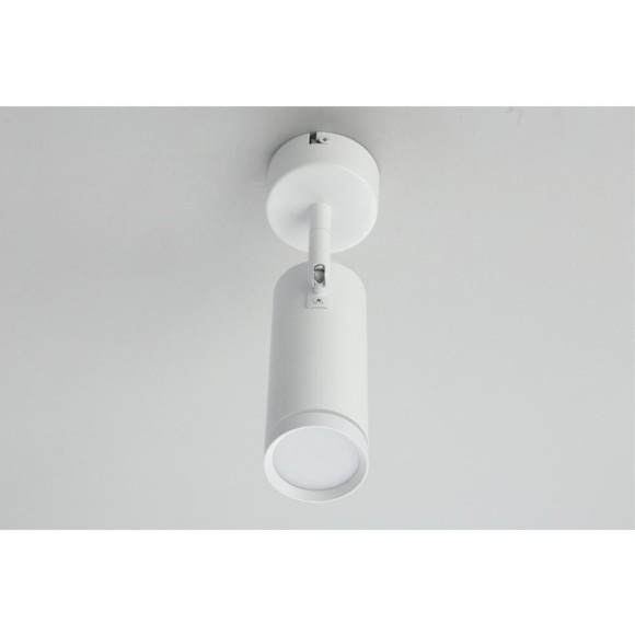 Светильник настенно-потолочный OML-102219-12