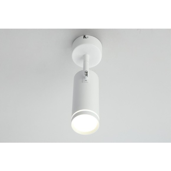 Светильник настенно-потолочный OML-102219-12