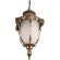 100017P Уличный подвесной светильник LOFT IT Alessano
