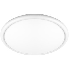 10454/500 White  Потолочный светильник  LOFT IT Sweety
