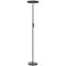 Декоративный торшер Lussole LSP-0901 CARMEL IP21 светодиодный LED 30W