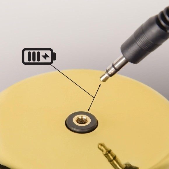 10233/C Gold Настольная лампа LOFT IT Brothers