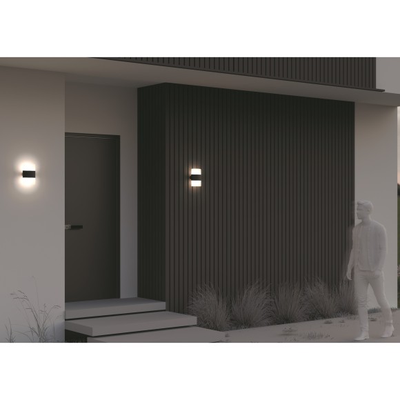 Настенный светильник (бра) Outdoor O442WL-L12GF3K Настенный светильник (бра) Outdoor O442WL-L12GF3K