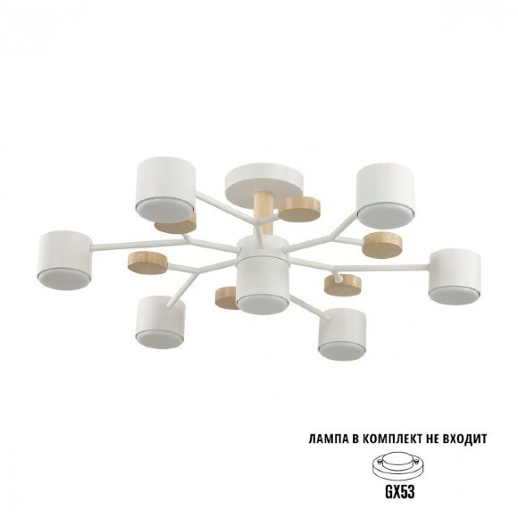Потолочный светильник GX53 Lumion RONDO 8195/7C