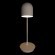 10144 White Настольная лампа LOFT IT Tango