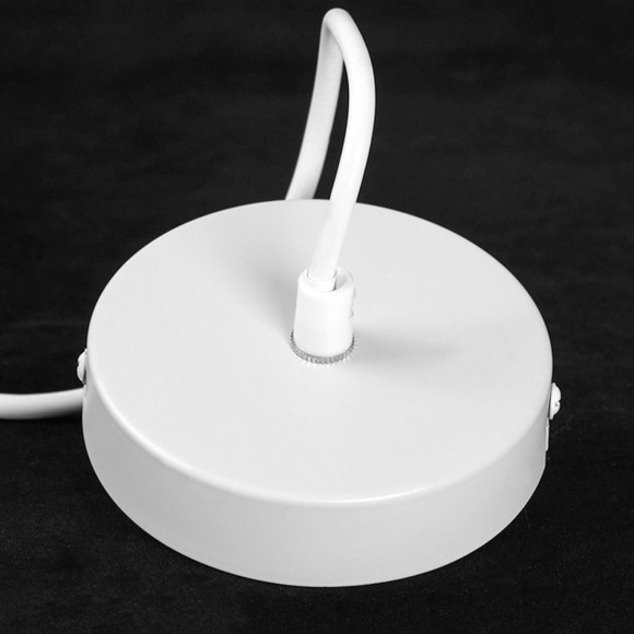 Подвесной светильник Lussole LSP-8973 Подвесной светильник Lussole LSP-8973