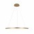 10014L Подвесной светильник LOFT IT Ring