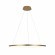 10014L Подвесной светильник LOFT IT Ring