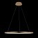10014L Подвесной светильник LOFT IT Ring
