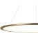 10014L Подвесной светильник LOFT IT Ring