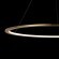 10014L Подвесной светильник LOFT IT Ring