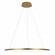 10014L Подвесной светильник LOFT IT Ring