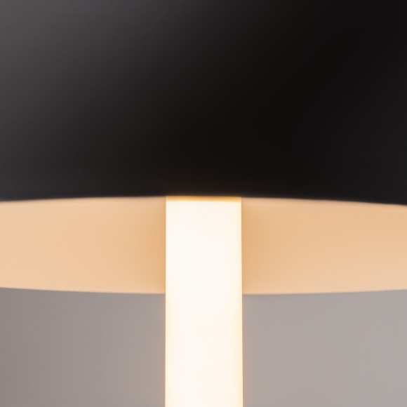 Интерьерная настольная лампа светодиодная с выключателем Ray Z012TL-L8B3K Интерьерная настольная лампа светодиодная с выключателем Ray Z012TL-L8B3K